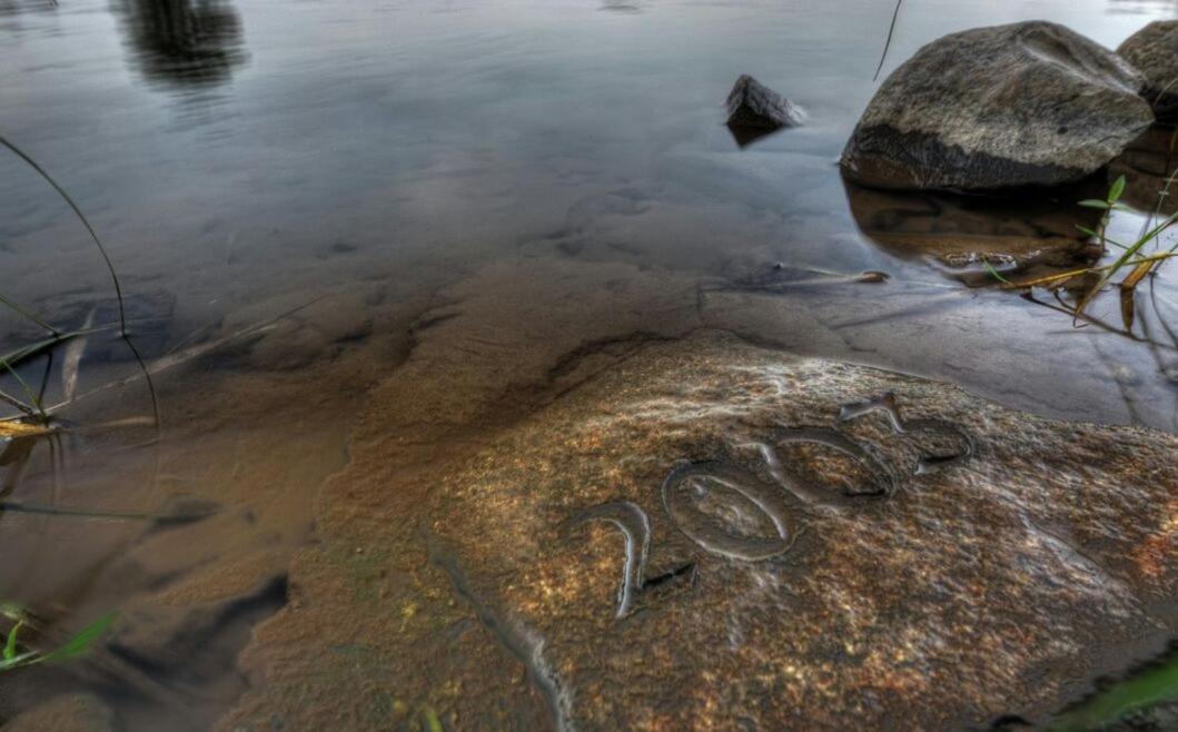 Schmidtalien Schlemmen Und Schlummern Dommitzsch Extérieur photo